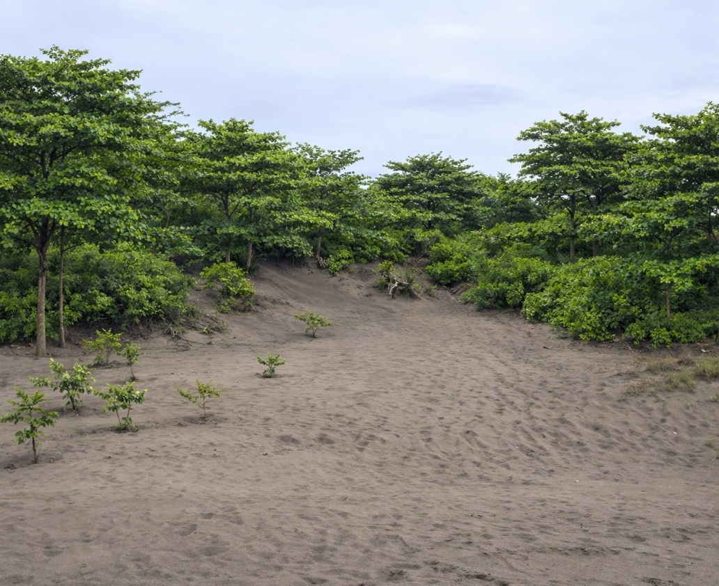 ChatGPT Image 4 Jan 2026, 00.14.17